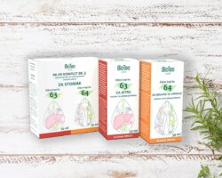 Bio-Teo Biljni komplet br.3 - za stomak