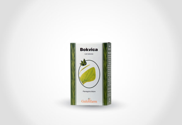 bokvica