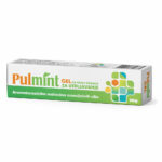 Pulmint gel za utrljavanje i inhalaciju 30g