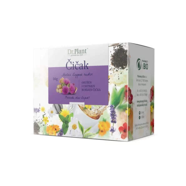 Cicak1