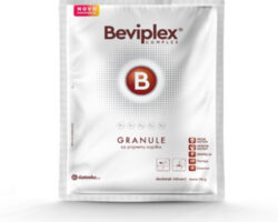 Beviplex B granule 70g