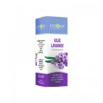 Cydonia Ulje lavande 10ml